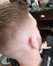 Fresh Fade Fresh Fade