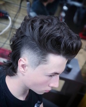 Mullet Mullet